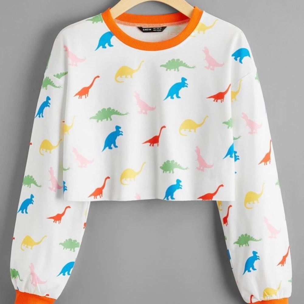 Dinosaur crop top